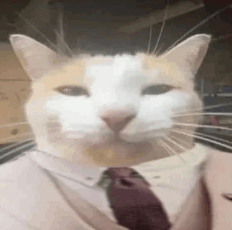 Co-responsable